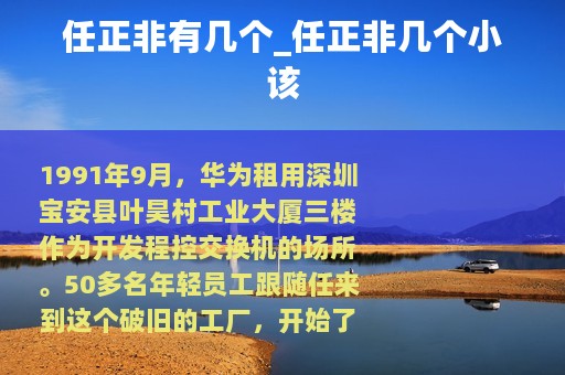 任正非的子女与华为的软件开发之路